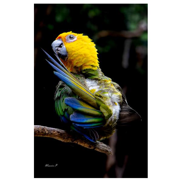 PHOTO84, CLUB, 84 , LUBERON